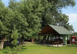 BBQ Зона
